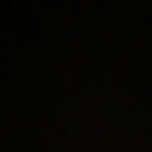 Meet your Posher, Dina